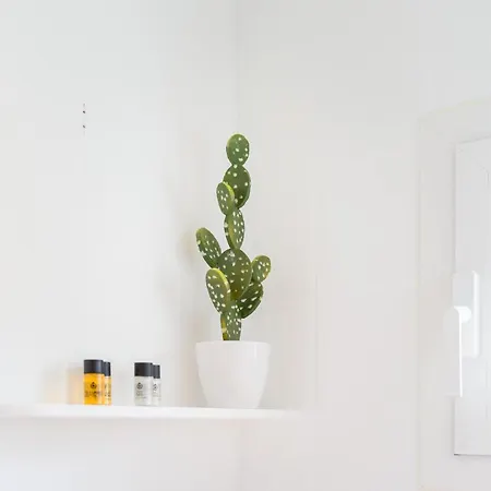 Viewpoint Over The Cliff By Canariasgetaway * מספאלומס